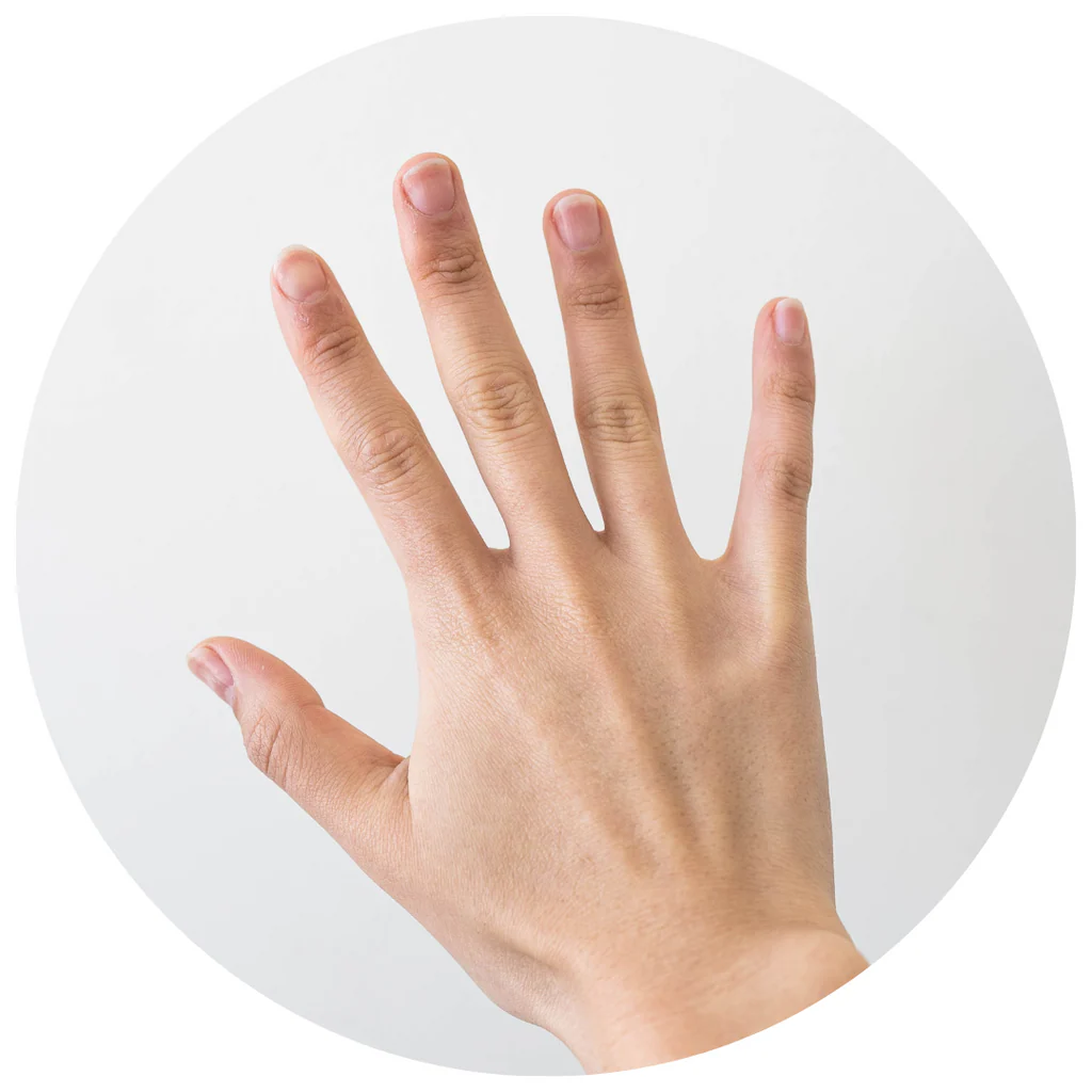 1_92acff53-a768-47e3-82e7-42f42250d8f7_1024x1024